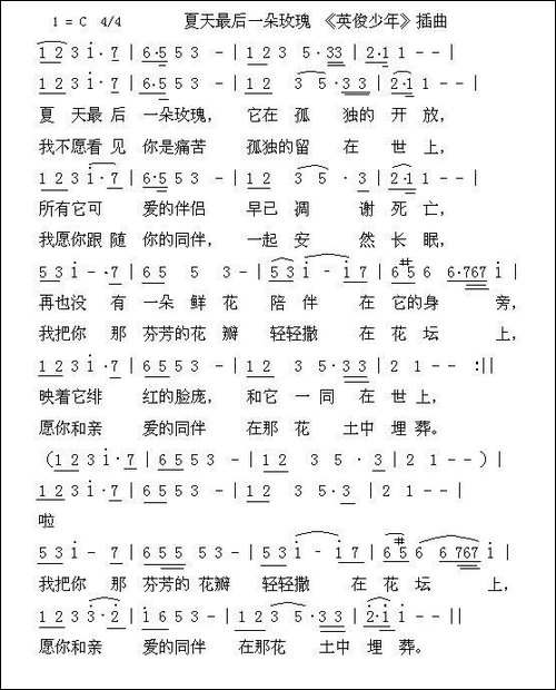 夏天最后一朵玫瑰