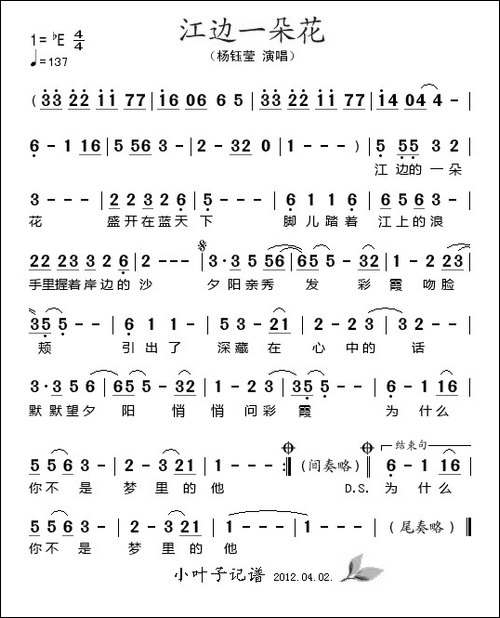 江边一朵花