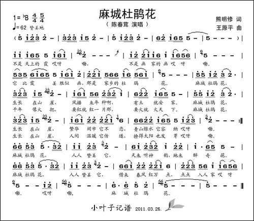 麻城杜鹃花