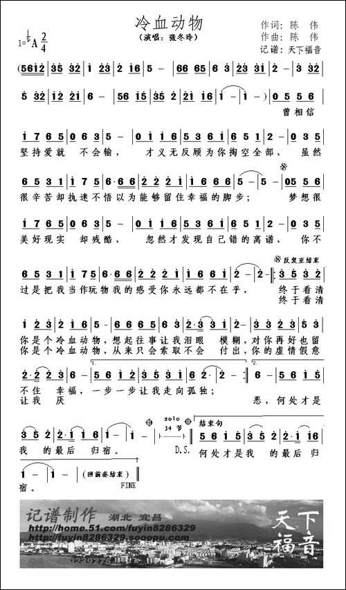 冷血动物-陈伟-词曲