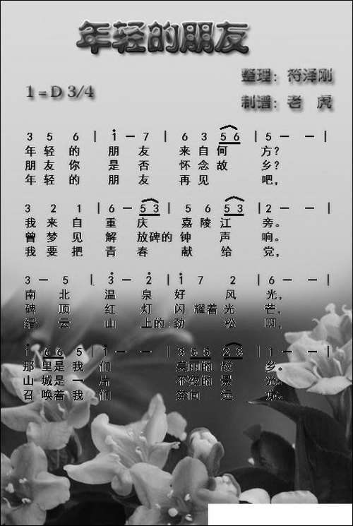 年轻的朋友
