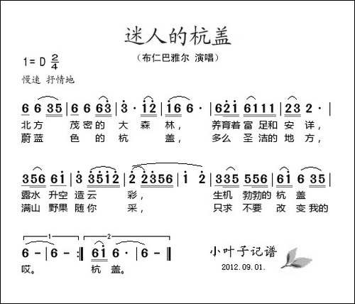 迷人的杭盖