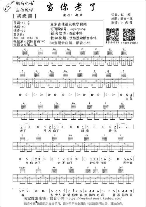 当你老了-赵照词曲、酷音小伟编配版-吉他谱