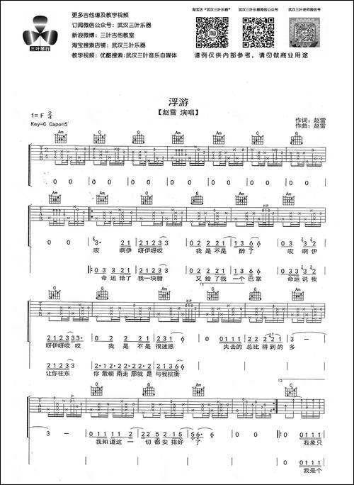 浮游-赵雷词曲、武汉三叶乐器编配版-吉他谱