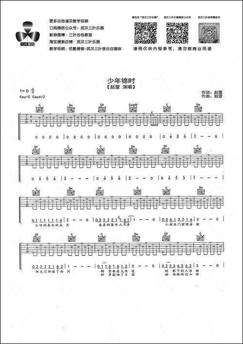 少年锦时-武汉三叶乐器编配版-吉他谱
