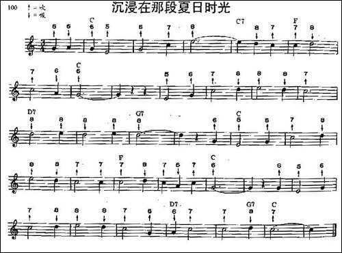 沉浸在那段夏日时光-布鲁斯-口琴谱