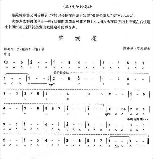 考级六级曲目：雪绒花-口琴谱