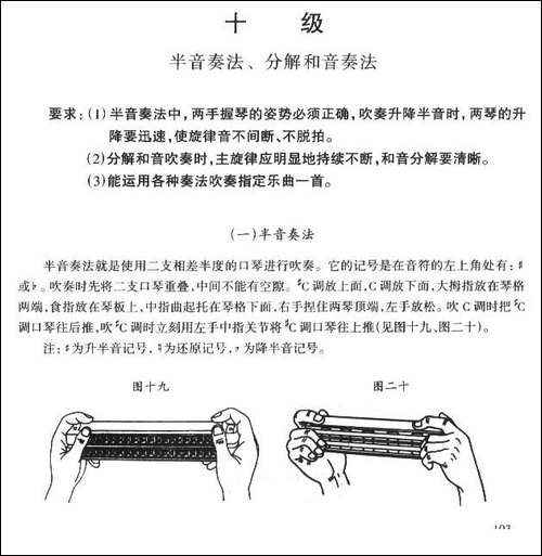 考级十级曲目：小步舞曲-口琴谱