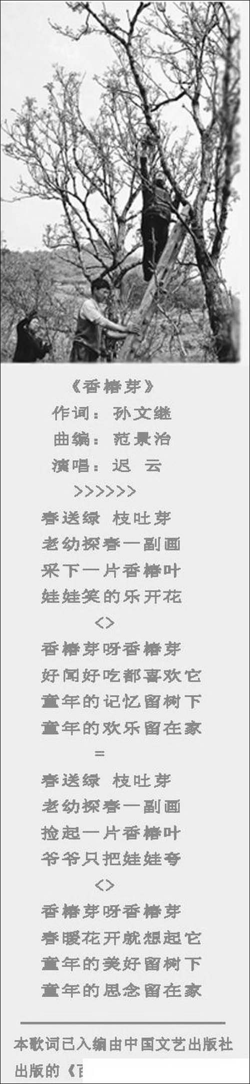 香椿芽-孙文继词-范景治曲-民歌