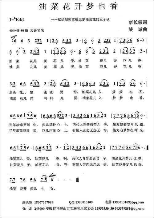油菜花开梦也香-民歌