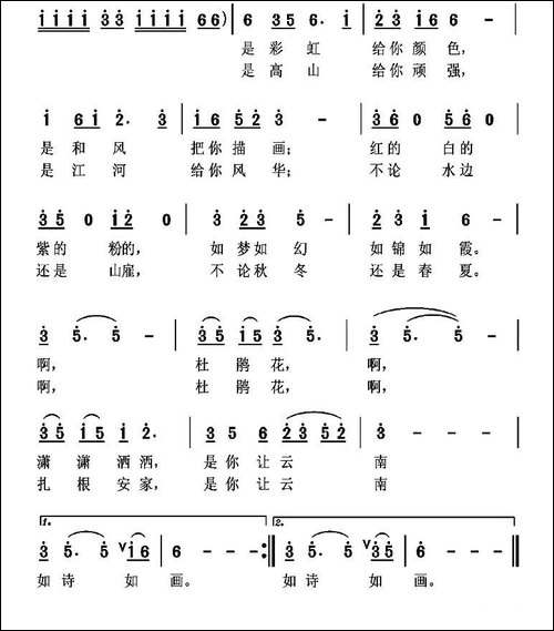 云南杜鹃花-民歌