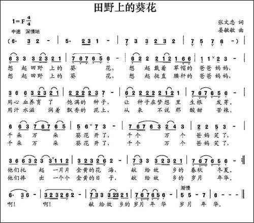 田野上的葵花-民歌