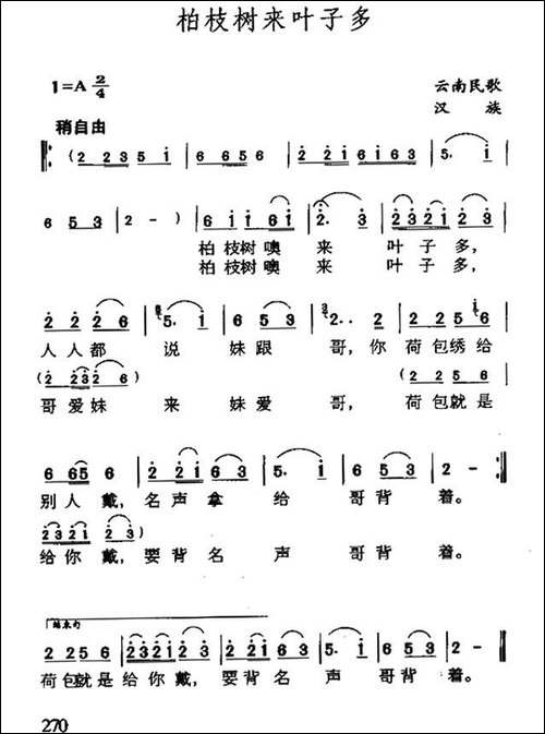 柏枝树来叶子多-云南民歌-民歌