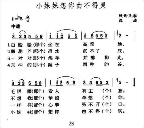 小妹妹想你由不得哭-陕西民歌-民歌