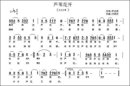 芦苇花开-民歌