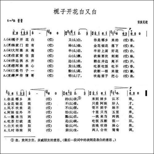 栀子开花白又白