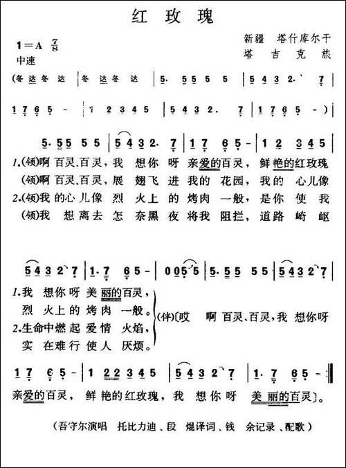 红玫瑰-塔吉克族民歌