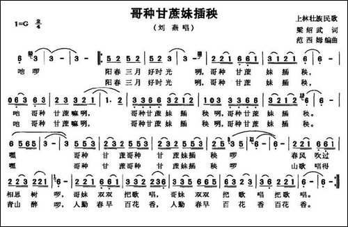 哥种甘蔗妹插秧