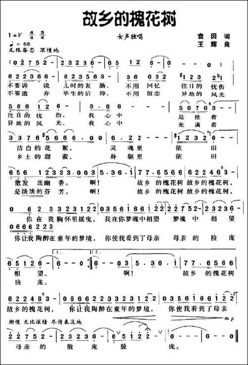 故乡的槐花树