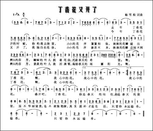 丁香花又开了