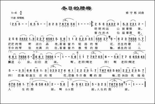 冬日的腊梅