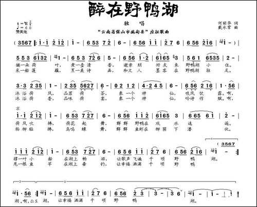 醉在野鸭湖-何丽华词-戴永常曲-民歌