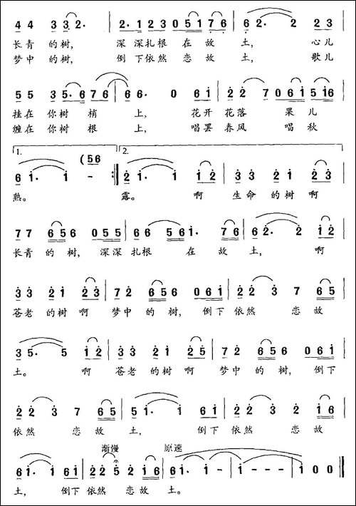 我寻找那棵树-民歌