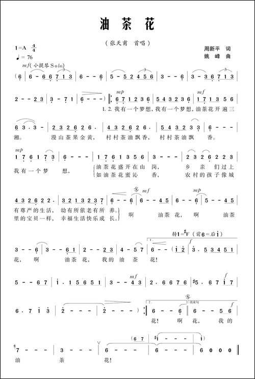 油茶花-民歌
