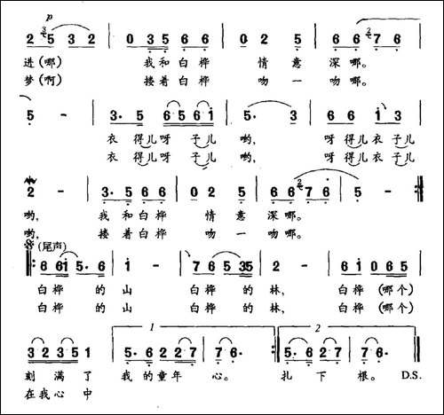 白桦情-民歌