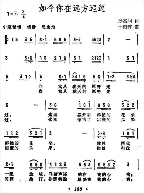 如今你在远方巡逻-民歌