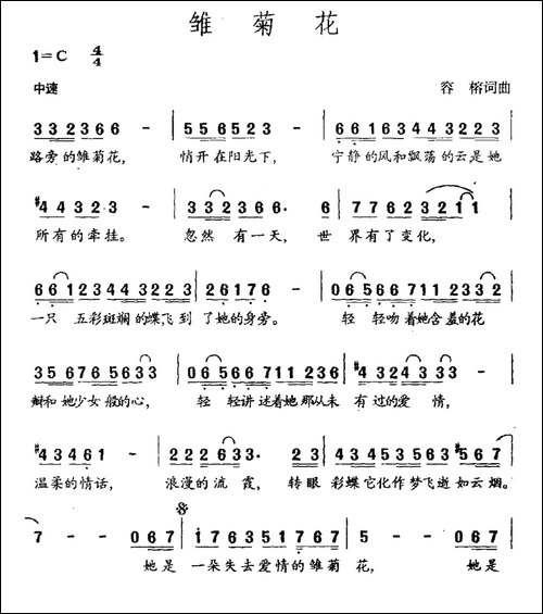 雏菊花-容榕词-容榕曲-民歌