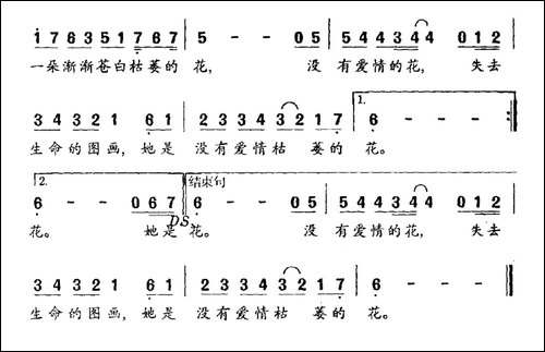 雏菊花-容榕词-容榕曲-民歌