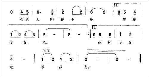 多彩的郁金香-民歌