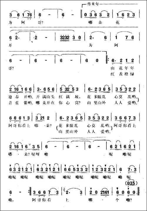 哪朵花开为阿哥-民歌