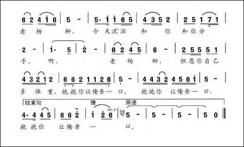 难舍我家的老杨柳-民歌