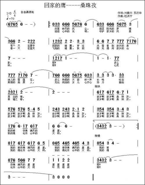 回家的鹰——桑珠孜-民歌