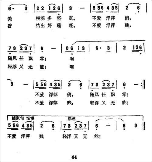 荷花与浮萍-民歌
