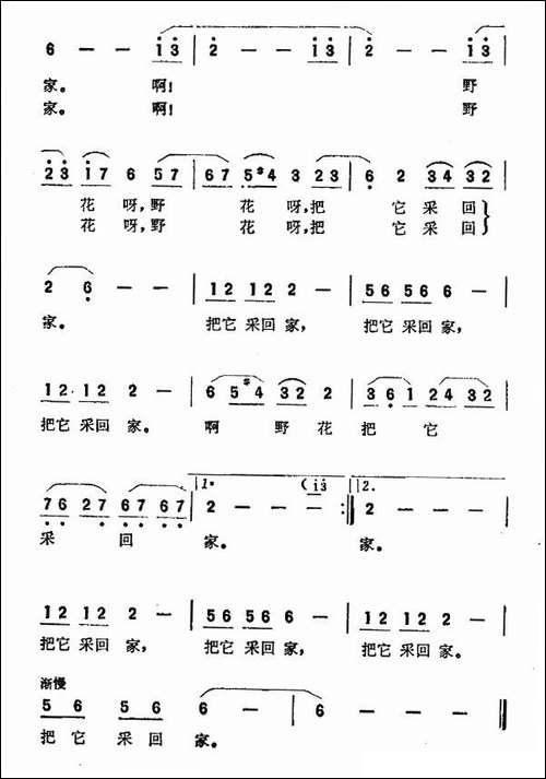 啊野花野花-故事影片《扬帆》插曲