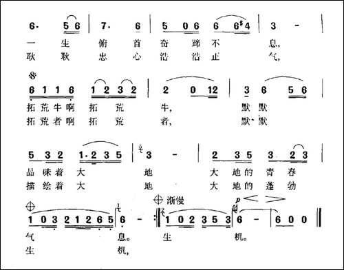 拓荒牛