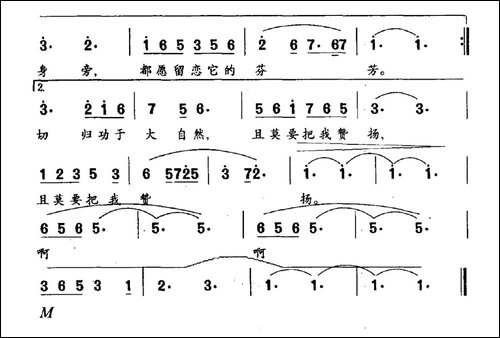 秋海棠