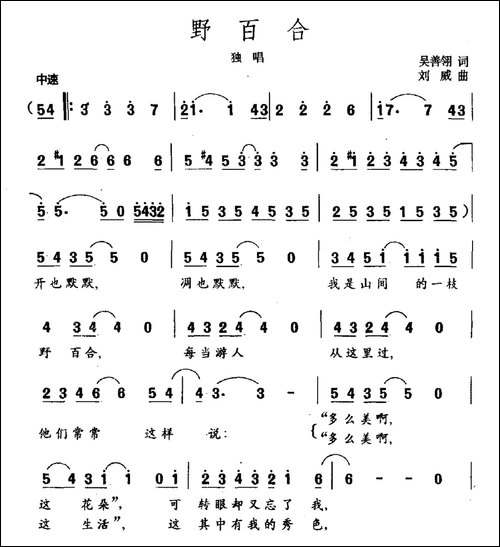 野百合