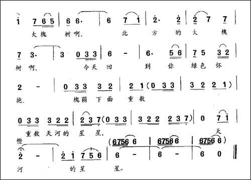 北方的大槐树-黎琦词-陈枫曲