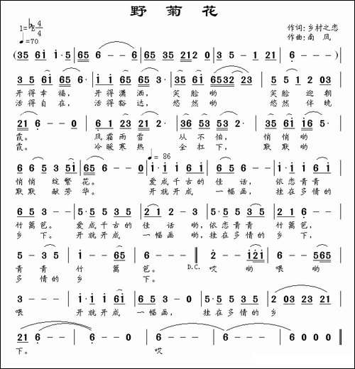 野菊花-乡村之恋词-南风曲