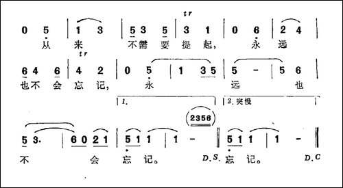 弯弯山路-弯弯小溪