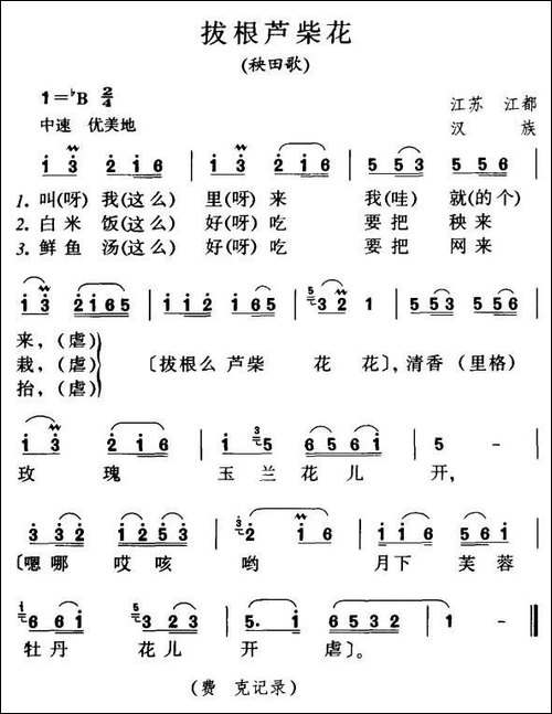 拔根芦柴花
