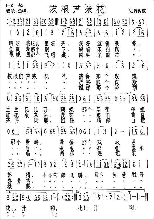 拔根芦柴花