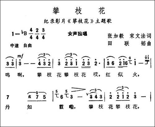 攀枝花-纪录片《攀枝花》主题歌