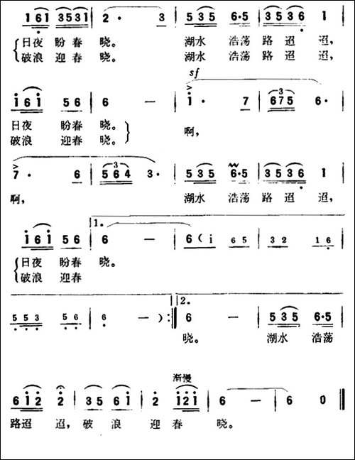 水蔓草-电视剧《风满潇洒》主题歌