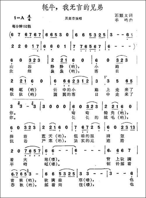 牦牛，我无言的兄弟