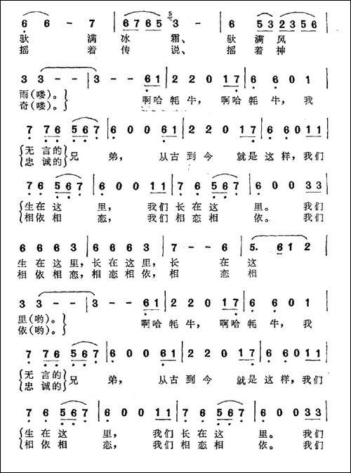 牦牛，我无言的兄弟